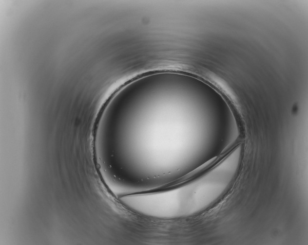 X0000089361332200706221152