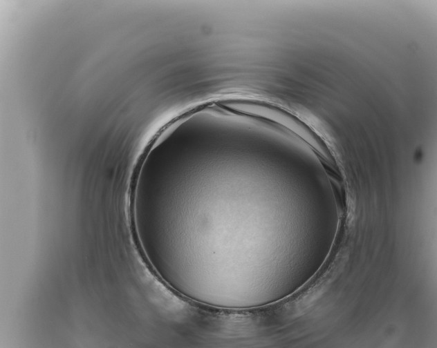 X0000089361334200706221152