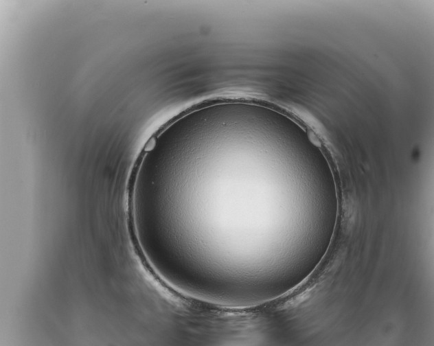 X0000089361335200706221152