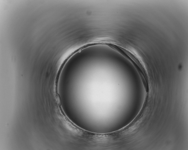 X0000089361336200706221152