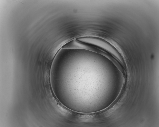X0000089361337200706221152
