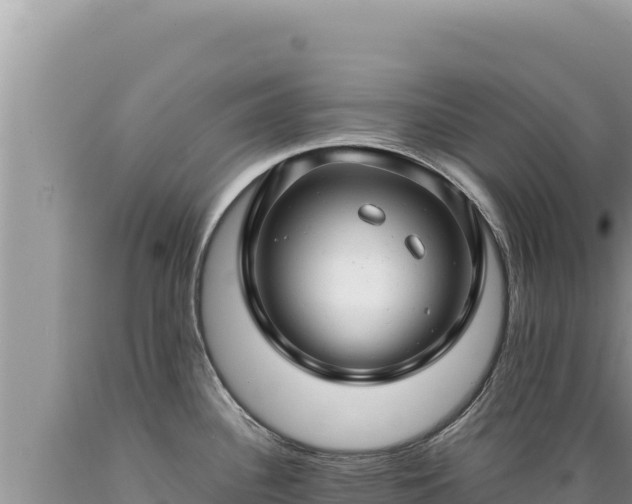 X0000089361340200706221152