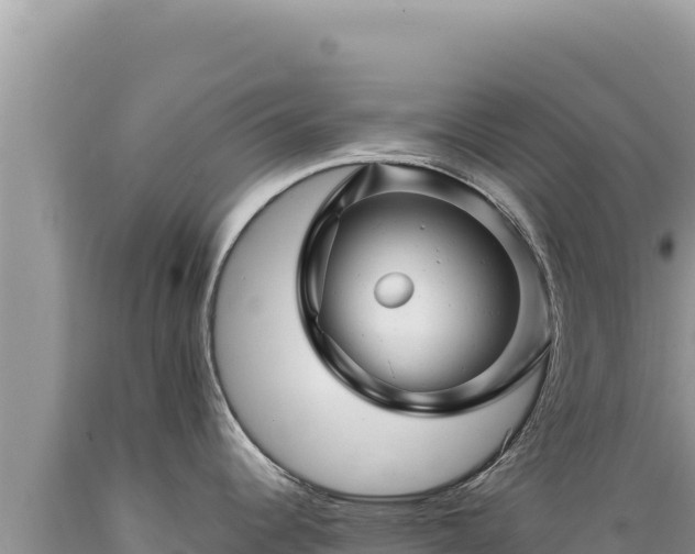 X0000089361344200706221152