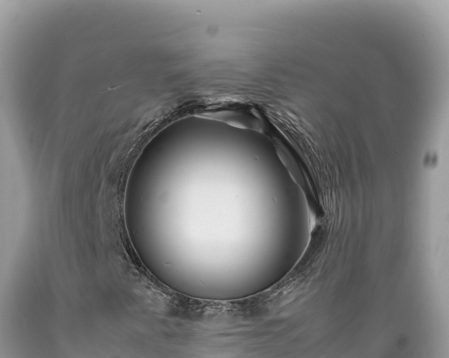 X0000089361345200706221151