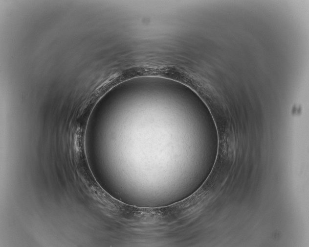 X0000089361346200706221151