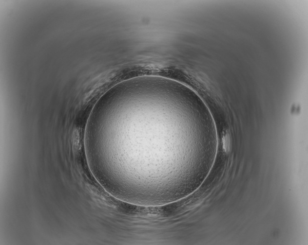 X0000089361347200706221151