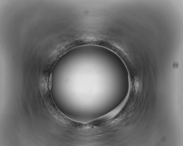 X0000089361348200706221151