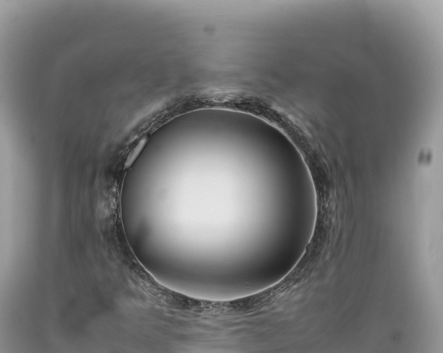 X0000089361349200706221151