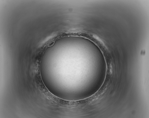 X0000089361350200706221151