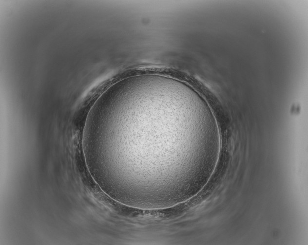 X0000089361351200706221151
