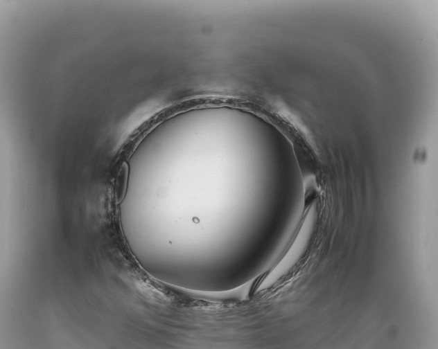 X0000089361352200706221151