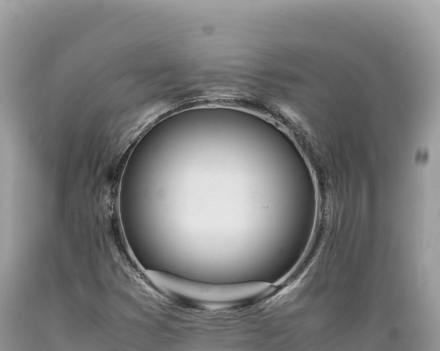 X0000089361353200706221151
