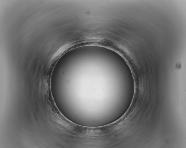 X0000089361354200706221151
