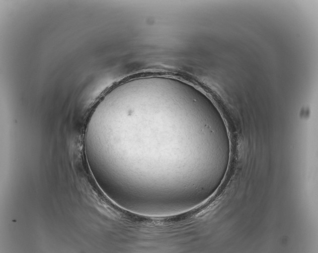 X0000089361355200706221151