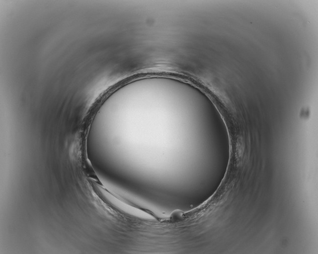 X0000089361356200706221151