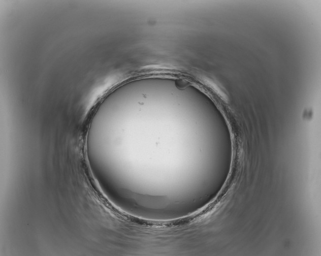 X0000089361357200706221151