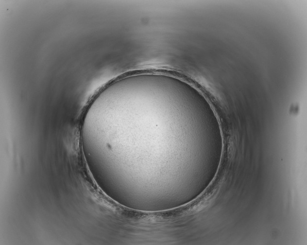 X0000089361358200706221151
