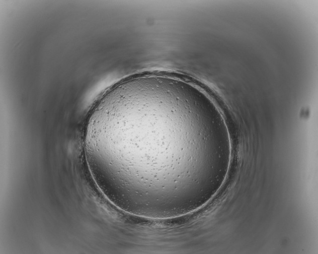 X0000089361359200706221151