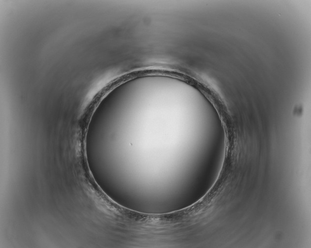 X0000089361360200706221151