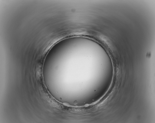 X0000089361361200706221151