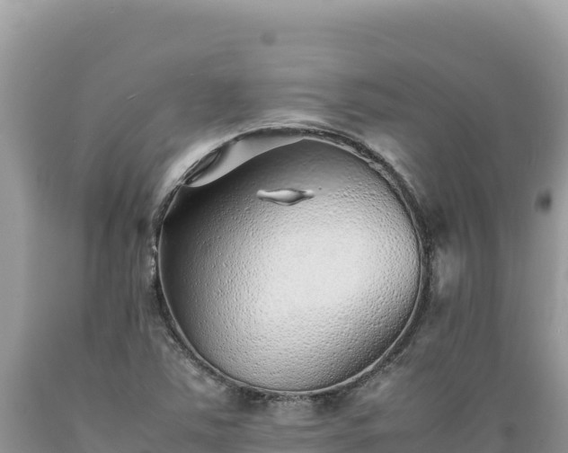X0000089361363200706221151