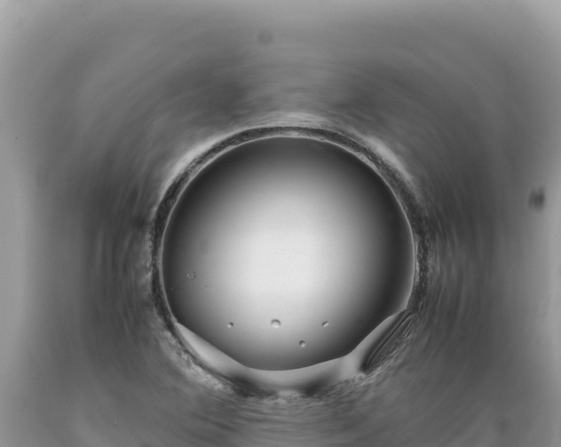 X0000089361364200706221151