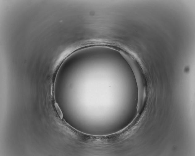 X0000089361365200706221151