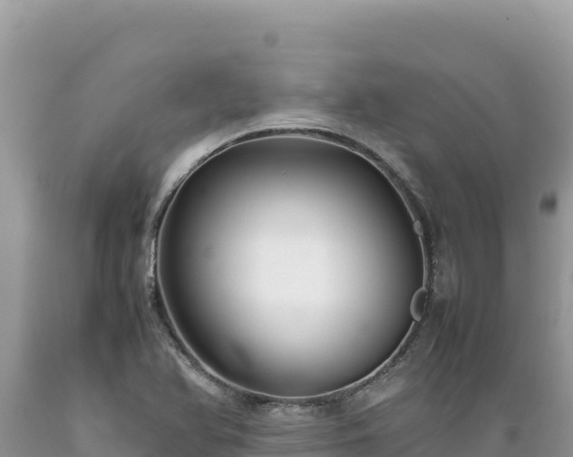 X0000089361366200706221151