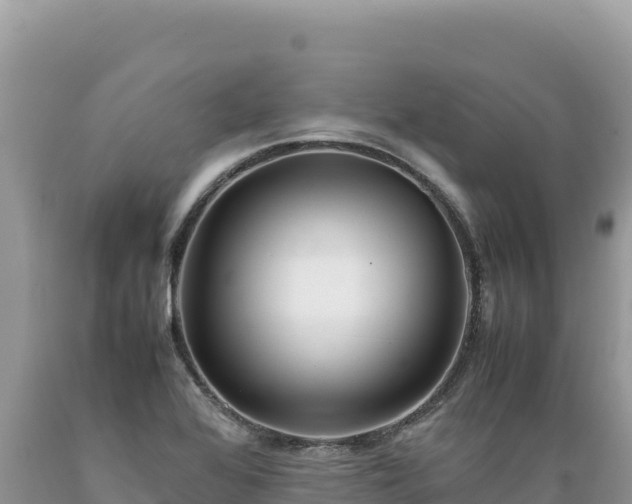 X0000089361368200706221151