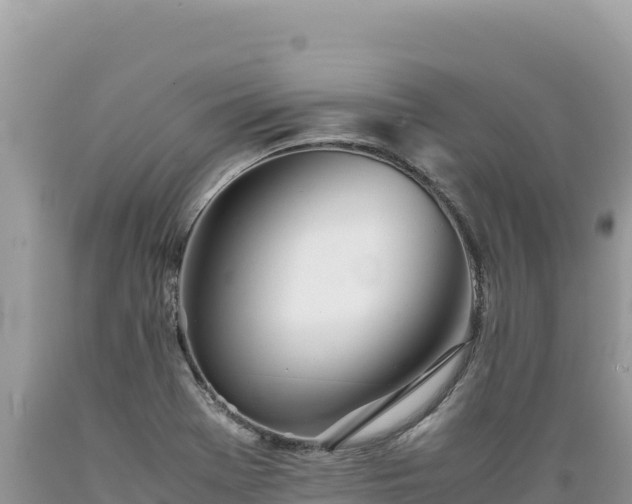 X0000089361369200706221151