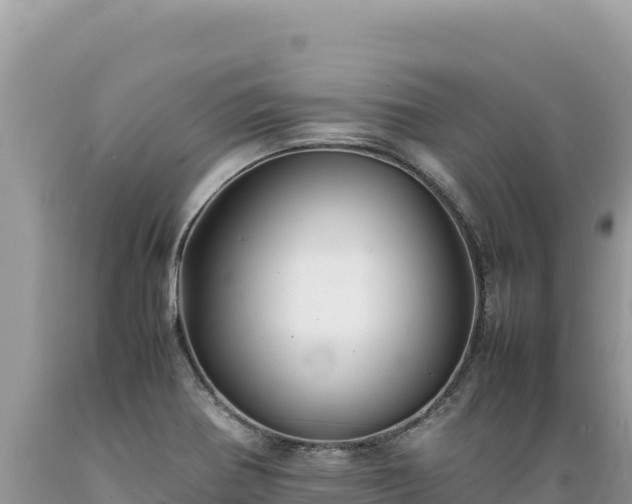 X0000089361370200706221151