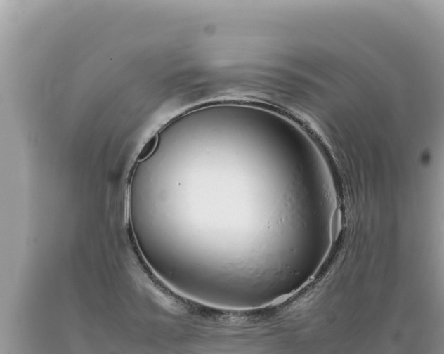 X0000089361371200706221151