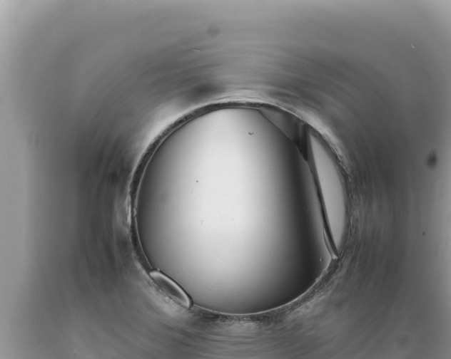 X0000089361372200706221151