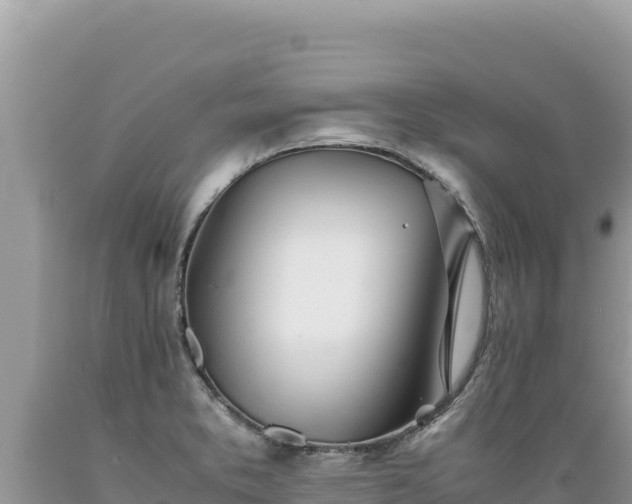 X0000089361373200706221151