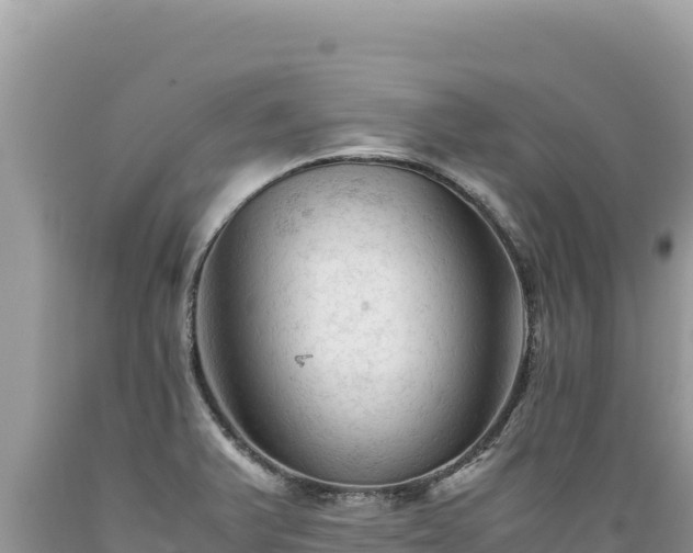 X0000089361375200706221151