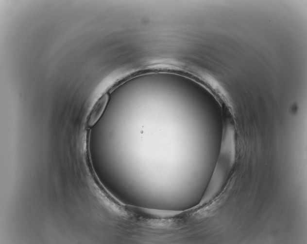 X0000089361376200706221151