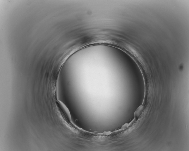 X0000089361377200706221151