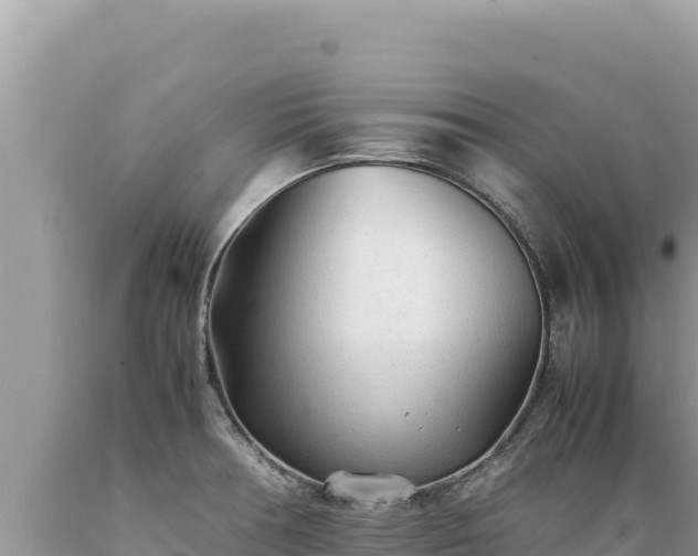 X0000089361378200706221151