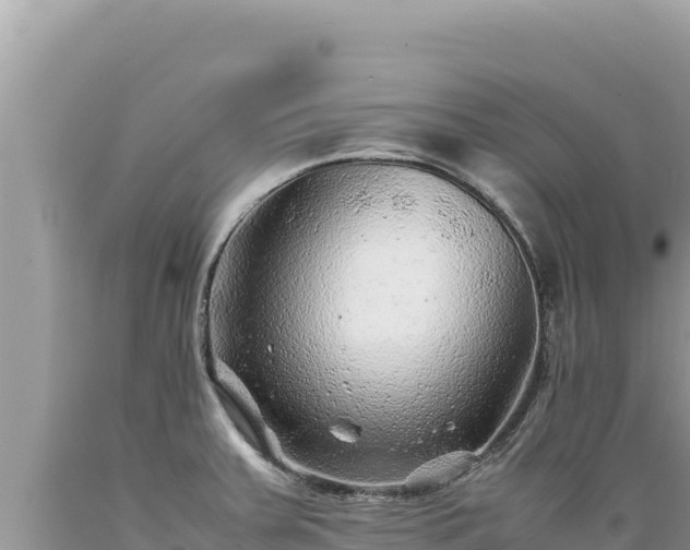X0000089361379200706221151