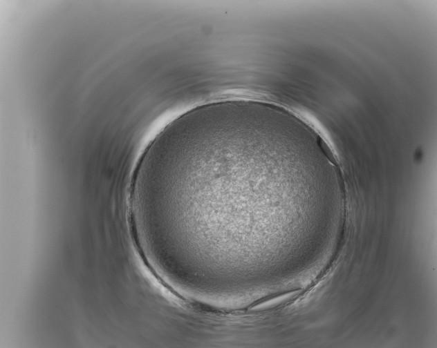 X0000089361381200706221150