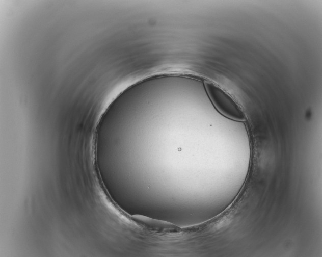 X0000089361382200706221150