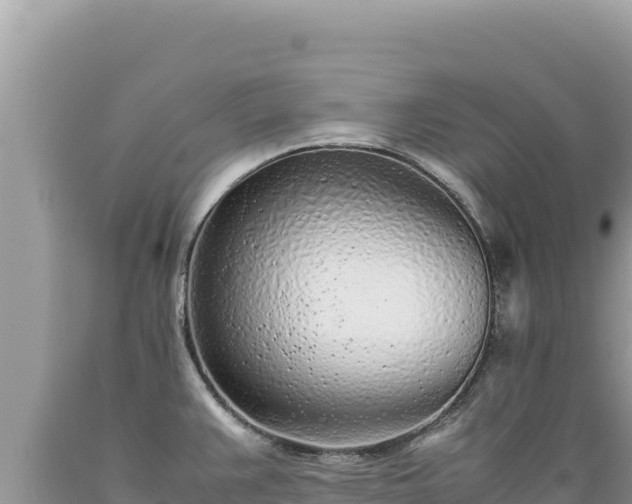 X0000089361383200706221150