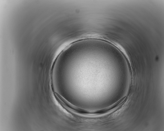 X0000089361389200706221150