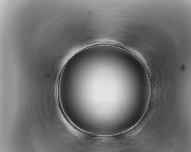 X0000089361391200706221150