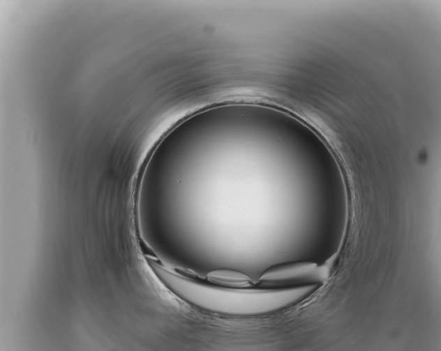 X0000089361392200706221150
