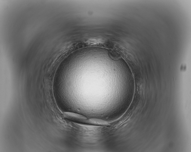 X0000089361393200706221150