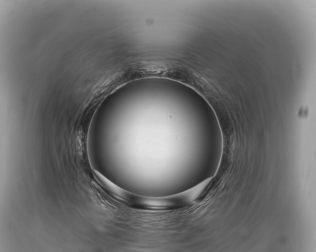 X0000089361394200706221150