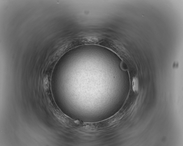 X0000089361395200706221150