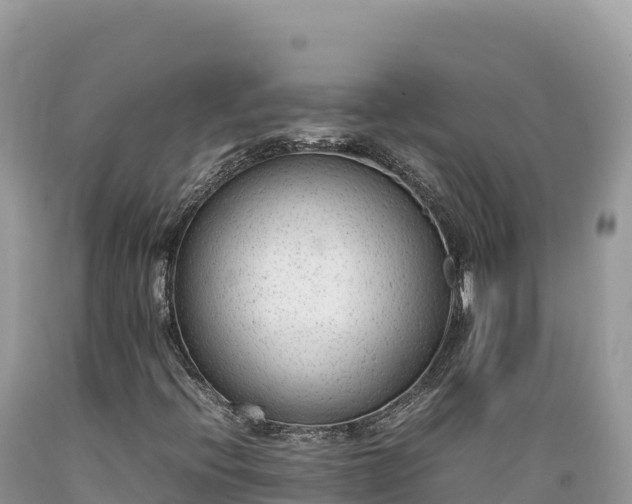 X0000089361396200706221150