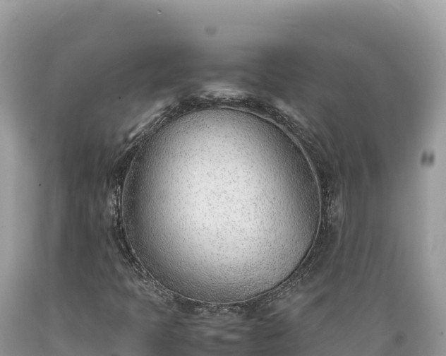 X0000089361397200706221150